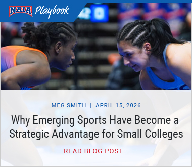 blog post