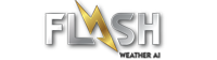 flash digital logo