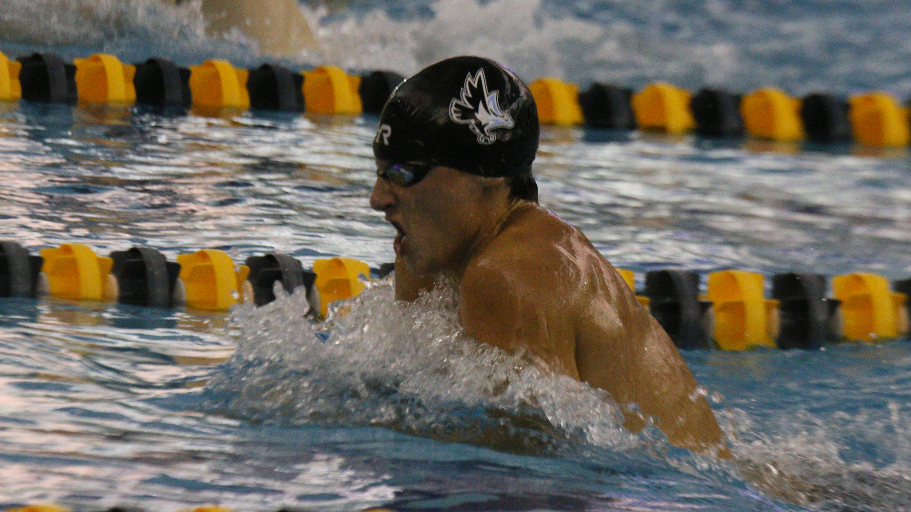 2018-19 NAIA Men's Swim & Dive Coaches' Top 10 Poll ? No. 4 (Jan. 17)