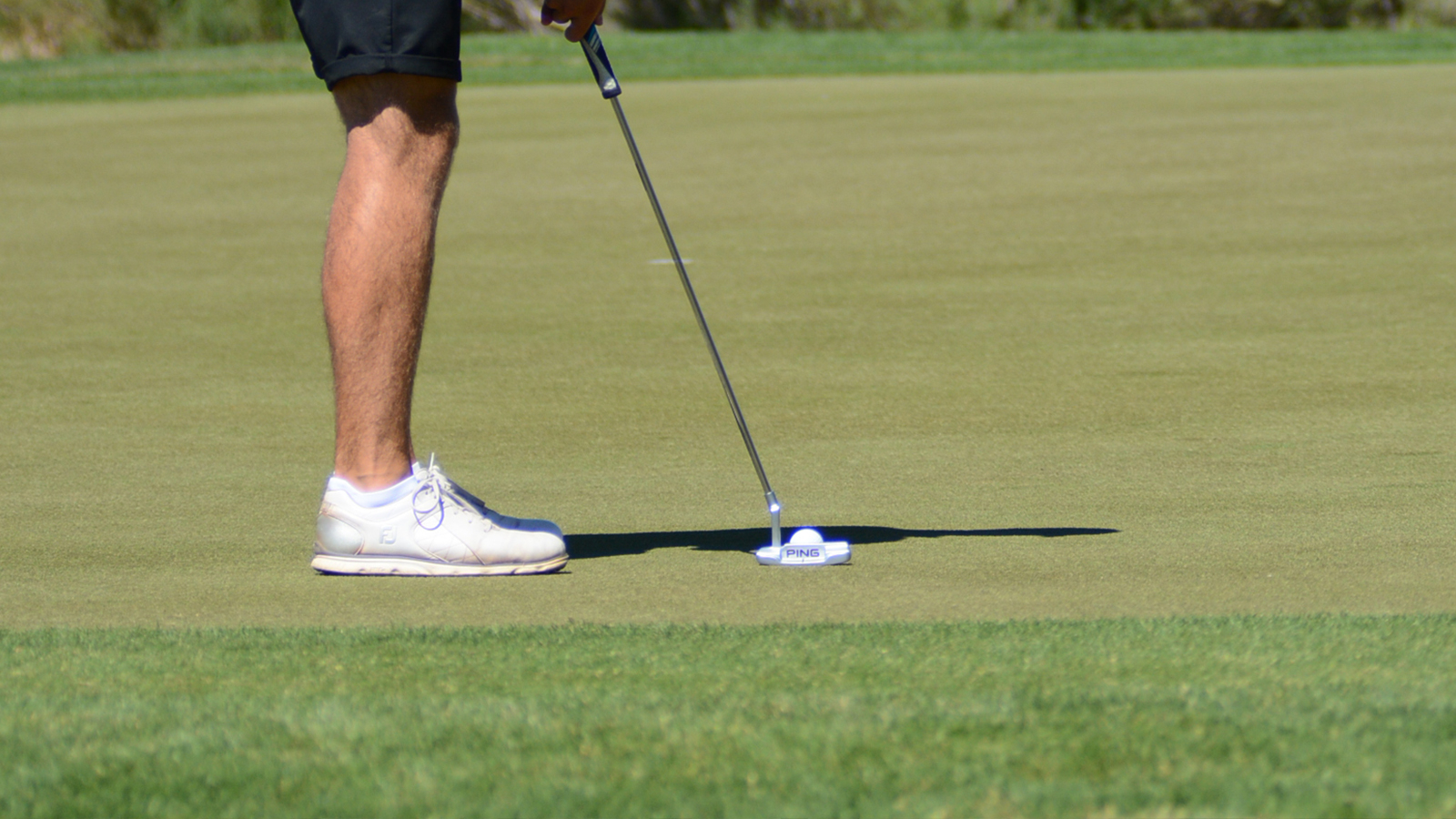 2019 Daktronics-NAIA Men's Golf Scholar-Athletes Announced