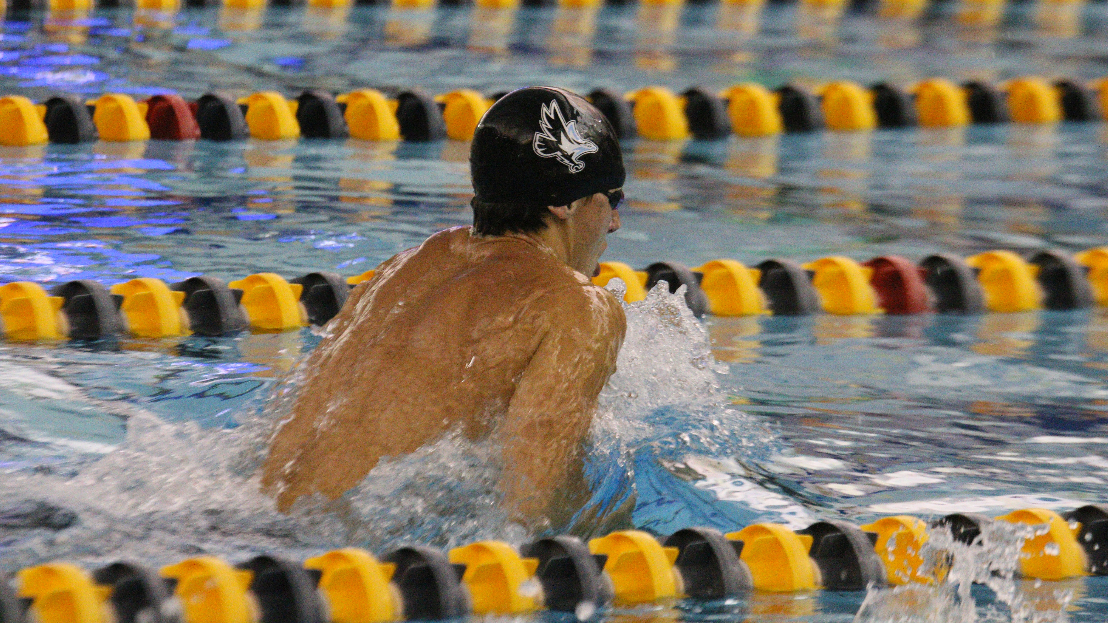 2018-19 NAIA Men's Swim & Dive Coaches' Top 10 Poll ? No. 2 (Nov. 15)