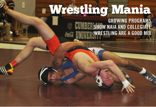 Wrestling Mania