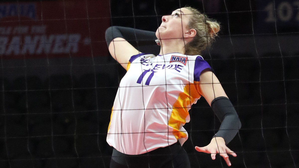 Volleyball