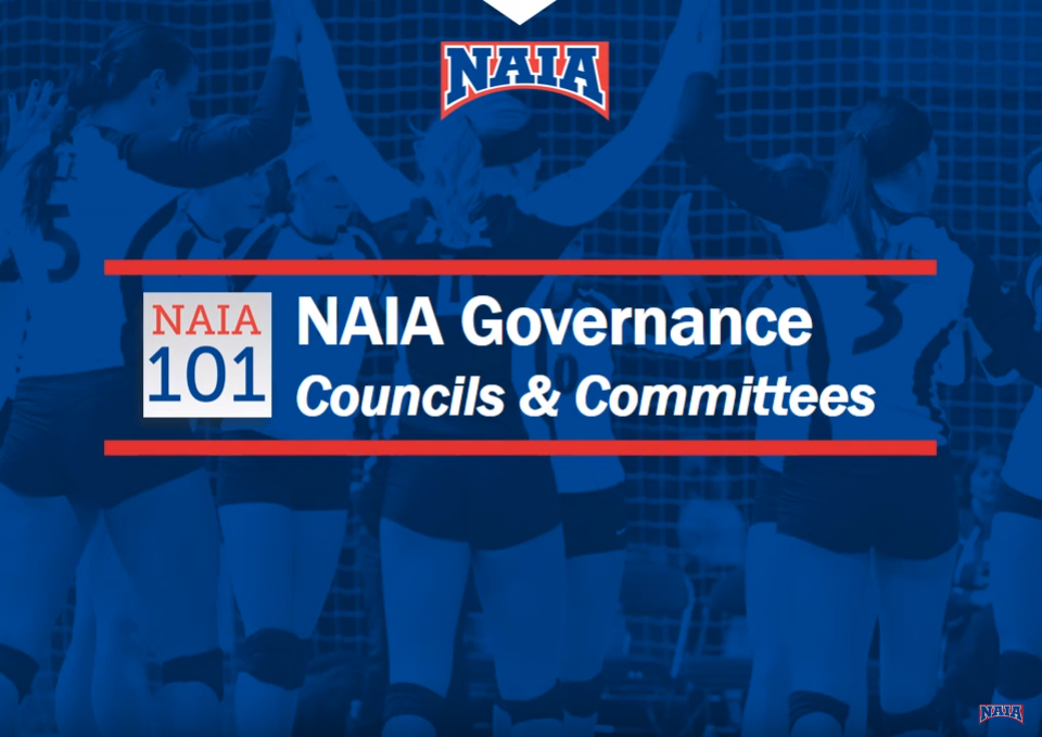 governance video