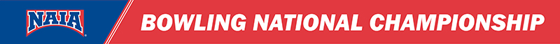40x3 banner