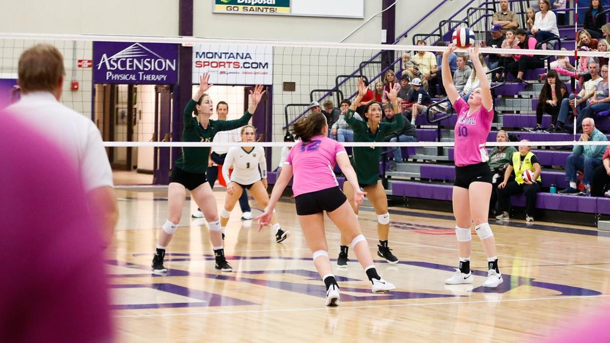 NAIA - Women's Volleyball - Player of the Week - Carroll (Mont.) - Ali Williams 