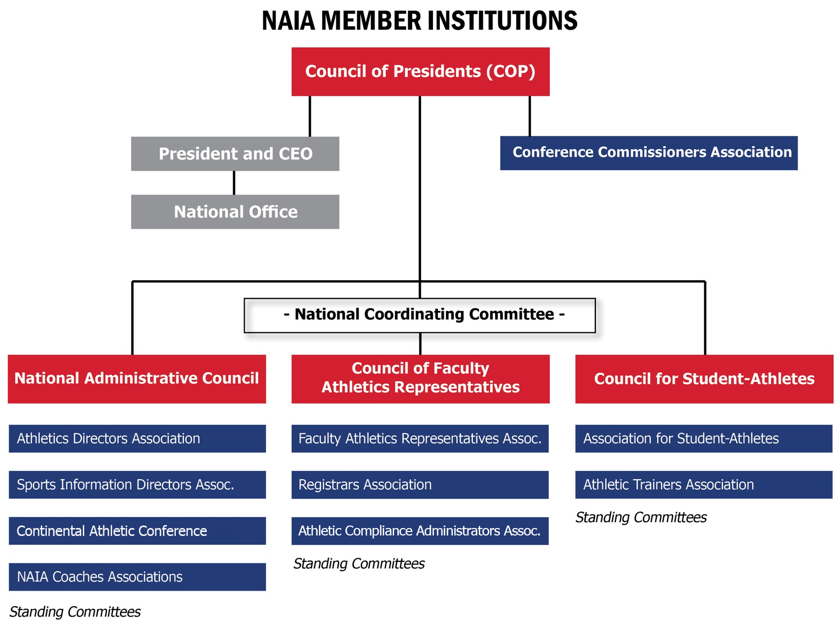 naia org chart