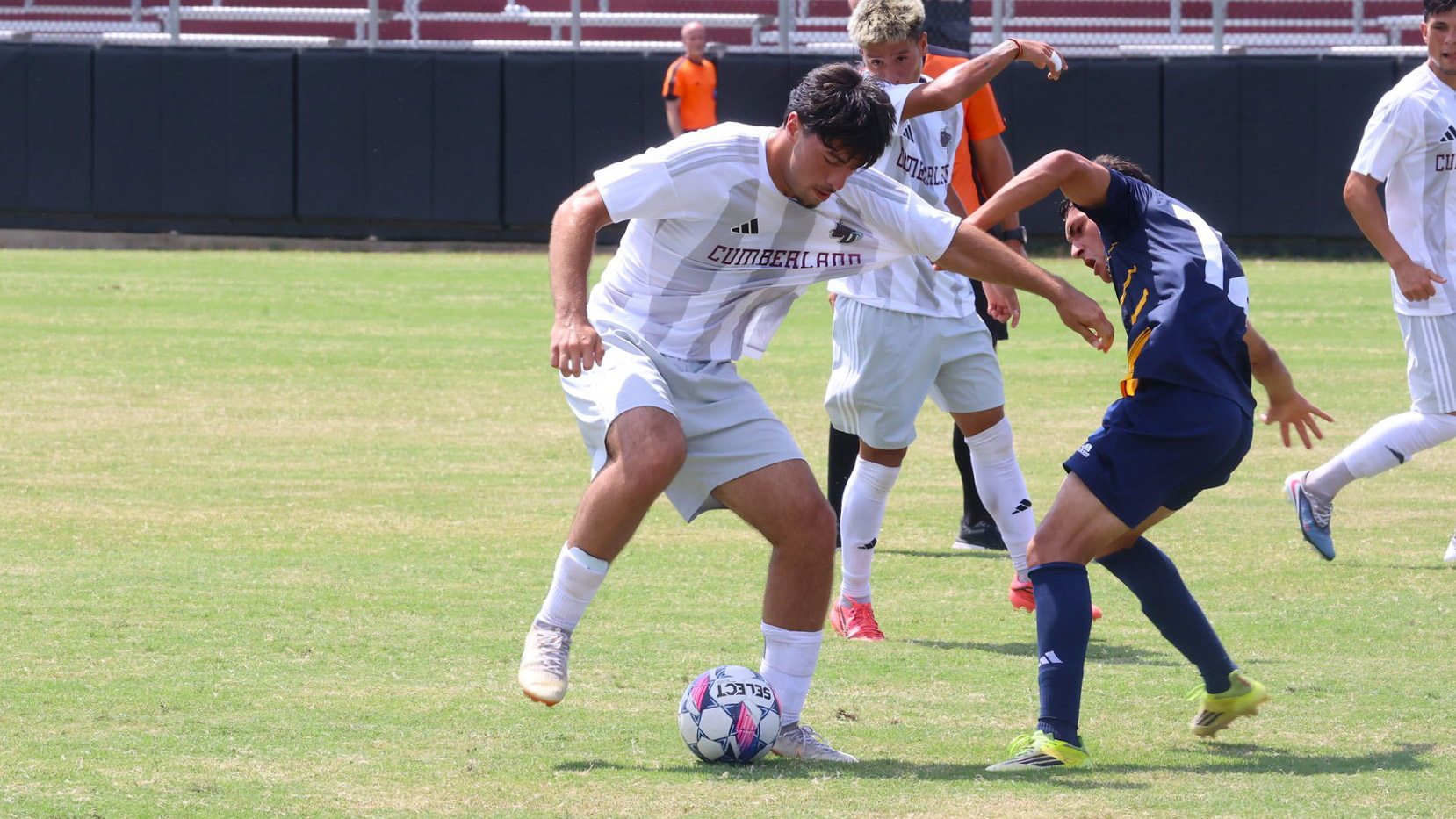 Cumberland freshman David Barbakadze