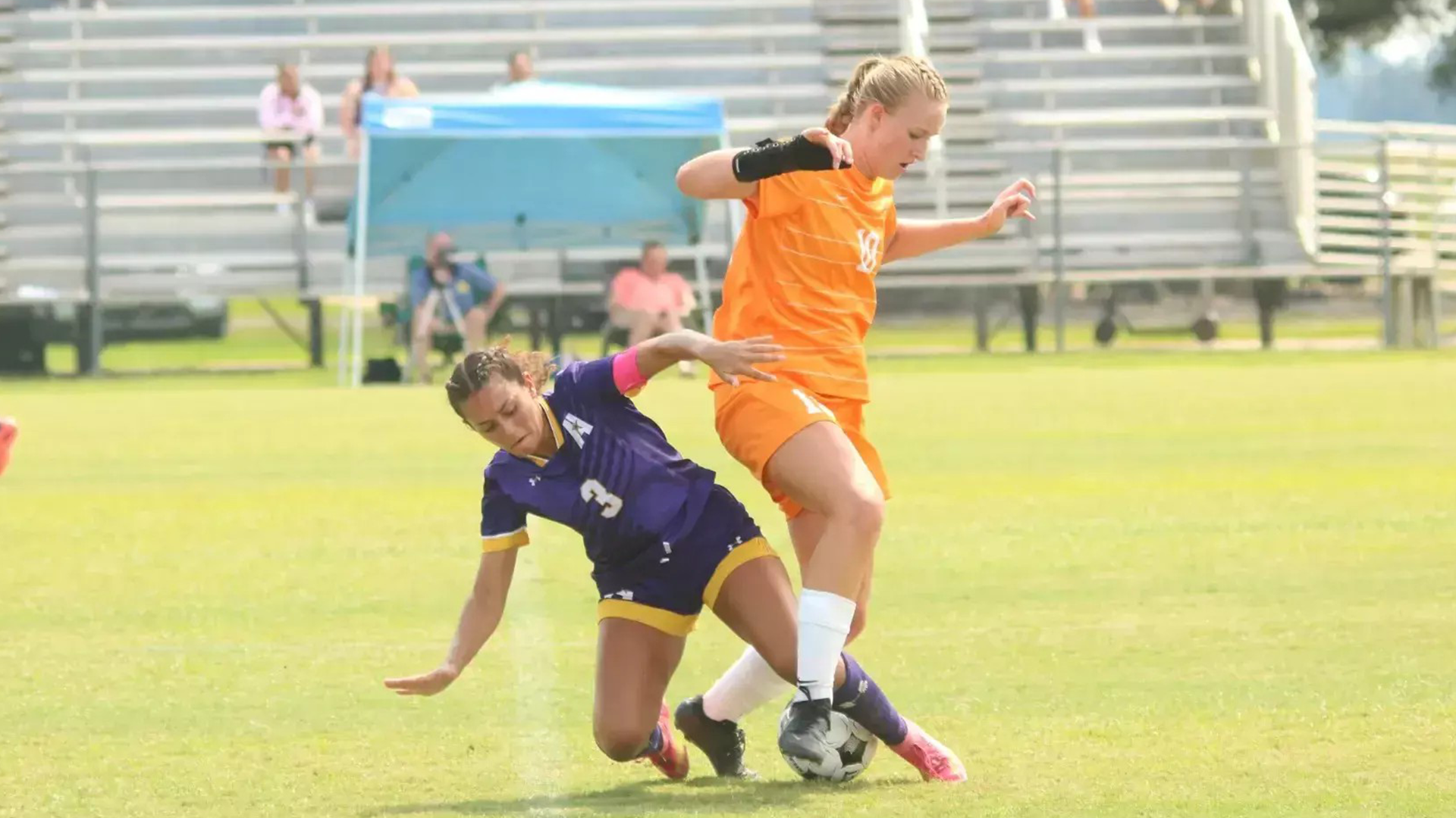 Tennessee Southern Athletics