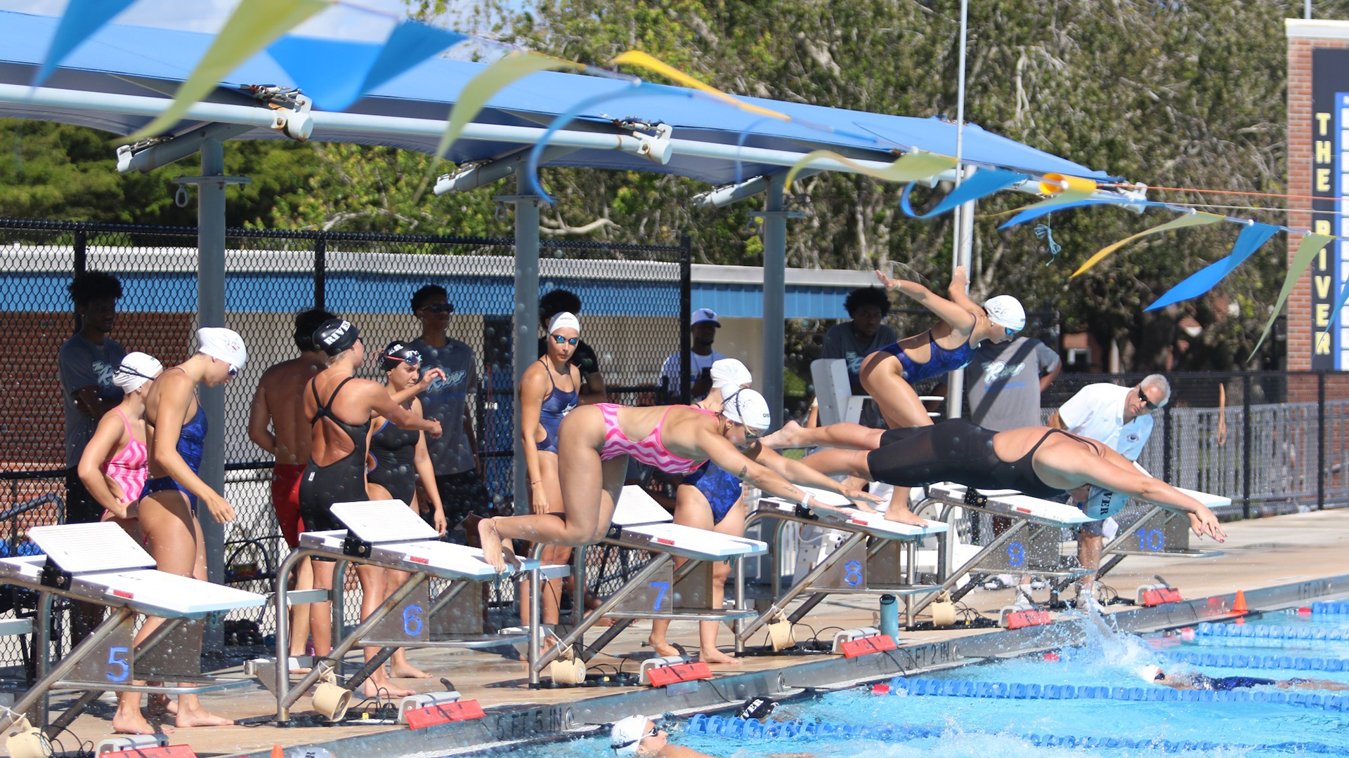 Women's swimmers diving into a pool to compete.