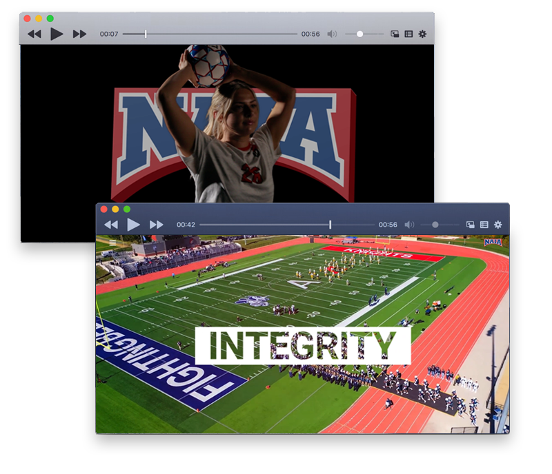 naia videos