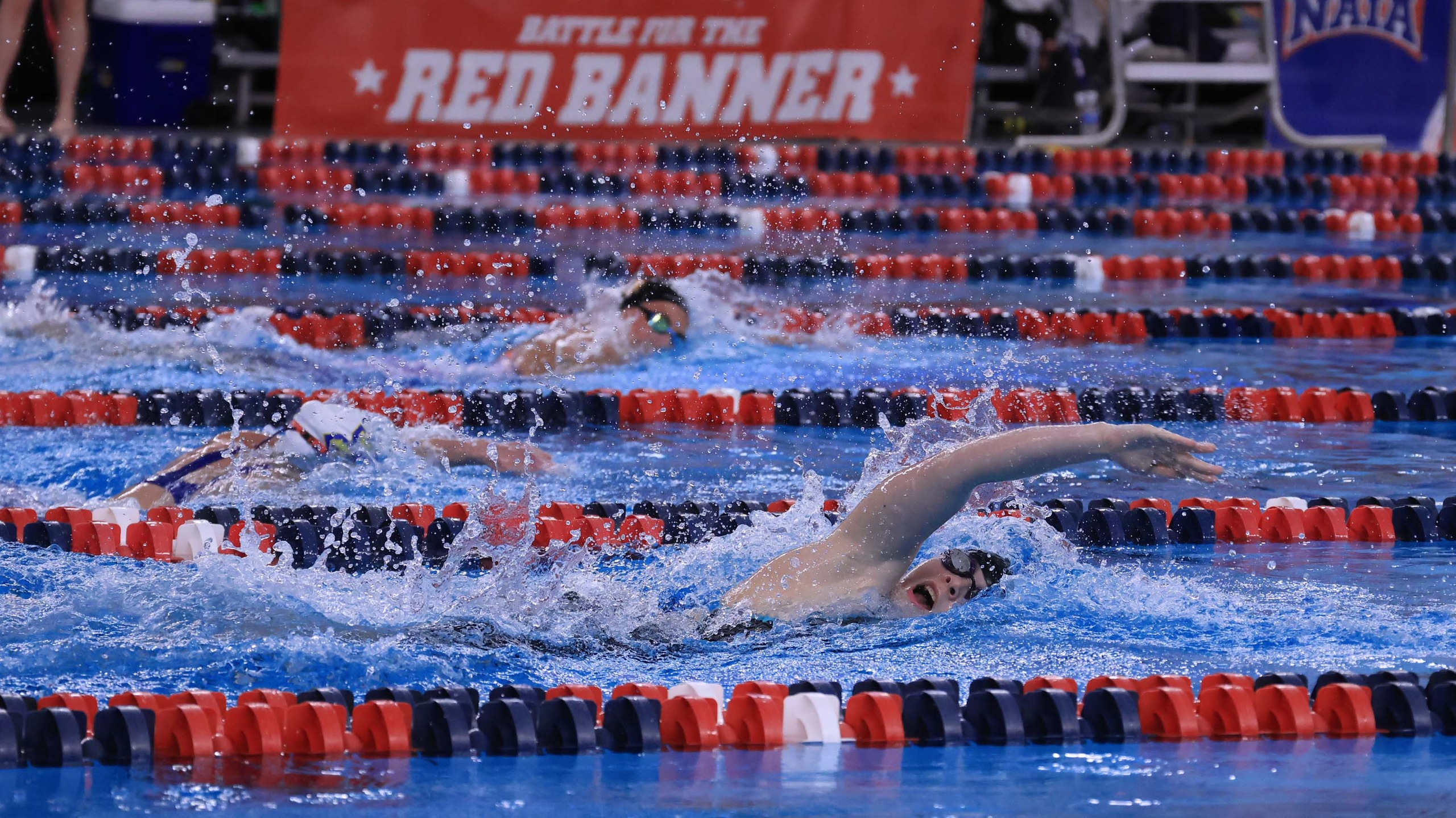 Seahawks Remain Atop the Leaderboard Midway Through the 2026 NAIA Men’s Swimming and Diving National Championship